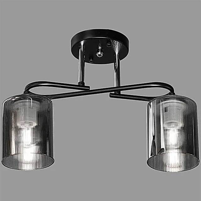 Светильник Айтин-Про НПБ 02-2*60-101 K2397/2 черный/хром