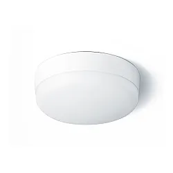 Светильник ФАZA ДПО-1046 15w 6500K IP54