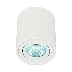 Светильник накладной ЭРА OL21 WH MR16/GU10 120*95 мм