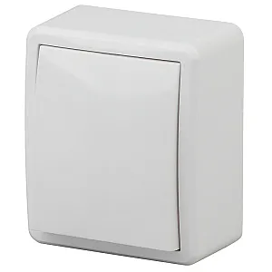 Выключатель Эра Эксперт 11-1201-01 10АХ-250В ОУ белый