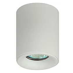 Светильник накладной ЭРА OL1 GU10 WH GU10 80*100мм