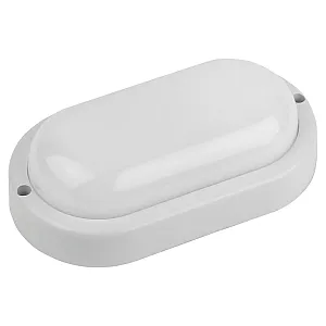 Светильник ЖКХ Эра SPB-202-0-40K-012 200*98 мм овал