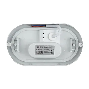 Светильник ЖКХ Эра SPB-202-0-65K-012 200 мм овал