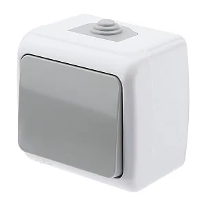 Выключатель Intro Atlantic 5-101-03 Б0050940 открытой установки серый