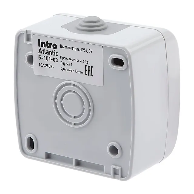 Выключатель Intro Atlantic 5-101-03 Б0050940 открытой установки серый