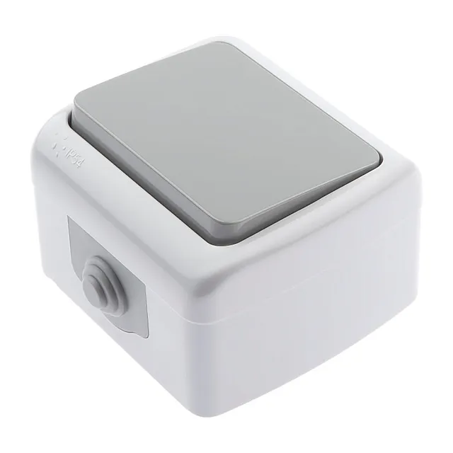 Выключатель Intro Atlantic 5-101-03 Б0050940 открытой установки серый