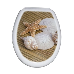 Сиденье для унитаза Bisk Yucca 80676 ракушки