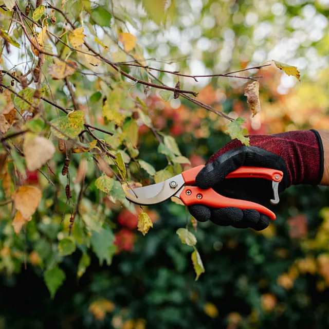 Секатор Bradas KT-V3 V-Series садовый одноручный стальные лезвия