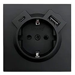 Розетка комбинированная Lezard Zima 704-4288-181TC TC + USB с заземлением черный бархат