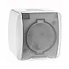 Розетка EL-BI Eva 554-011500-218 с крышкой с заземлением наружная