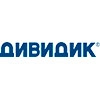 Дивидик