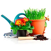 Уход за растениями