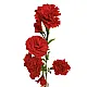 Букет Гвоздика большая 80 см