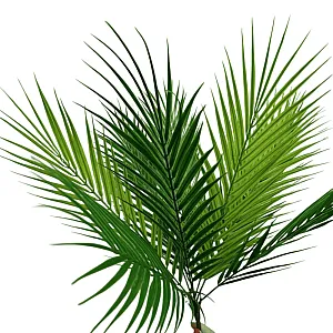 Букет ветка пальмы 50 см