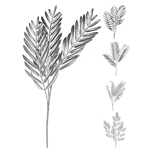 Украшение Koopman AAE324050 Ветка с листьями серебро 75 см